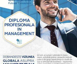 Diploma Profesionala in Management